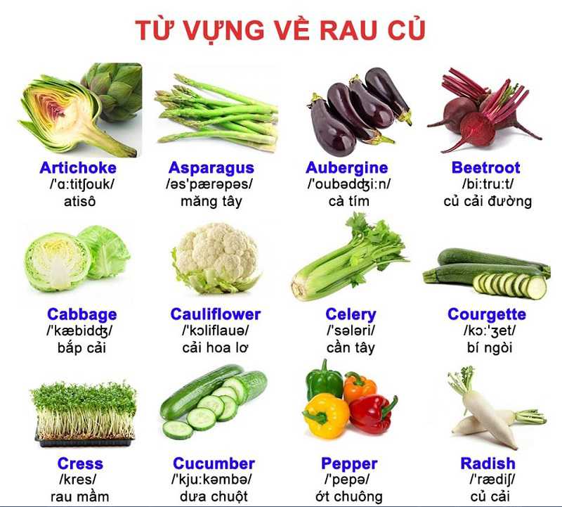 Từ Vựng Về Rau Củ (Vegetables)