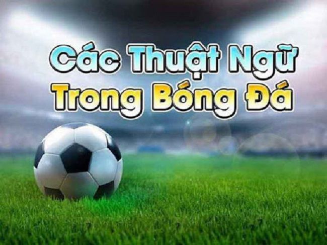 Các Thuật Ngữ Cơ Bản